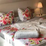 Cely Dum Flora V Ceskosaskem Svycarsku Apartment *